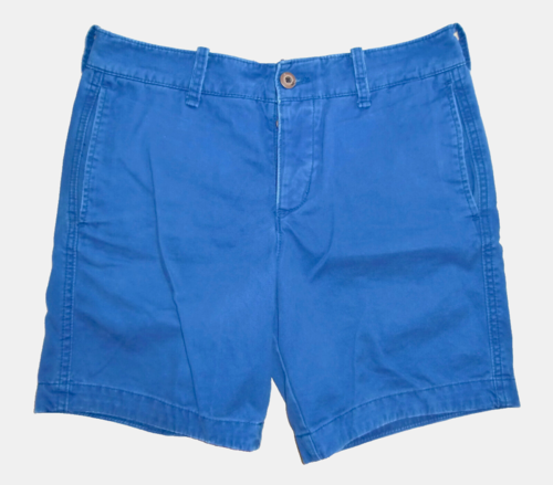 HOLLISTER Herren Bermuda Shorts Blau Gr. 31