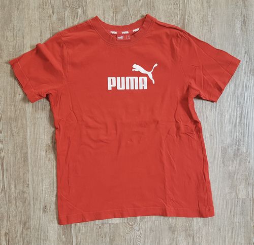 PUMA Sport Unisex KA Shirt in Rot Gr. L 152